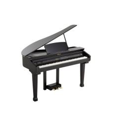 GRAND PIANO MOD. 110 NERO/BLACK