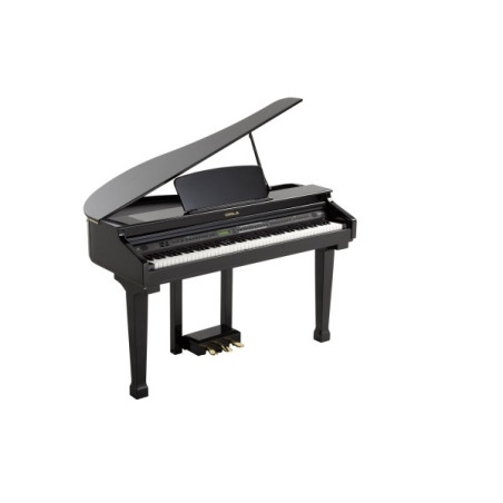 GRAND PIANO MOD. 110 NERO/BLACK