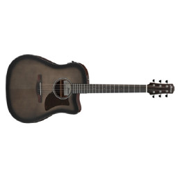 Ibanez AAD50CE TCB