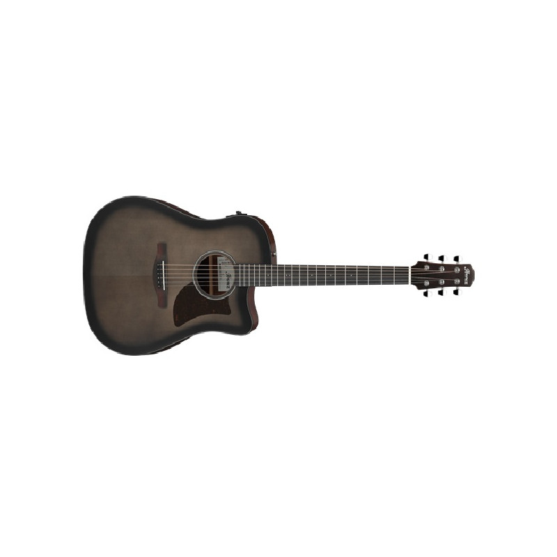 Ibanez AAD50CE TCB