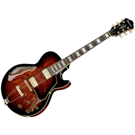 IBANEZ AG95QA DBS