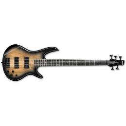 Ibanez GSR205SM NGT