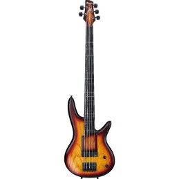 IBANEZ GWB205-TQF