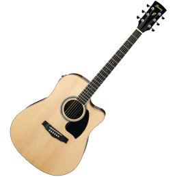 IBANEZ PF15ECE-NT