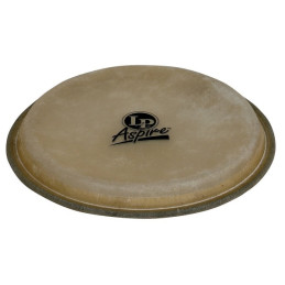 Latin Percussion Pelle Bongo 6 3/4 Macho  Aspire EZ Curve Rim