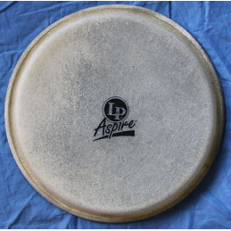 LPA663B - Pelle per Bongo - 8