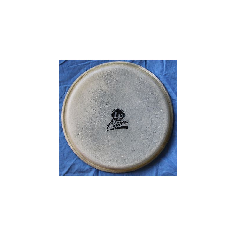 LPA663B - Pelle per Bongo - 8