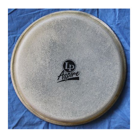 LPA663B - Pelle per Bongo - 8