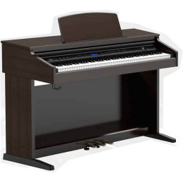 Orla CDP 202 - 88 tasti Hammer Action - Bluetooth - USB Disk - Rosewood