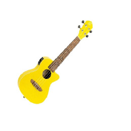 ORTEGA RUSUN-CE