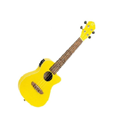 ORTEGA RUSUN-CE