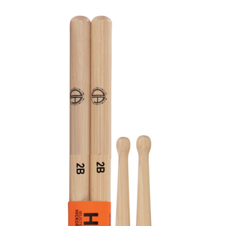 Paia di BACCHETTE 3° SCELTA 2B cono logo DS