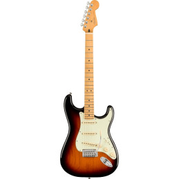 Player Plus Stratocaster®, Maple Fingerboard, 3-Color Sunburst
