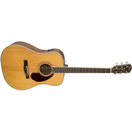 PM-1 Standard Dreadnought Natural
