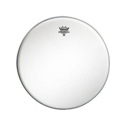 REMO AMBASSADOR OPACA 13