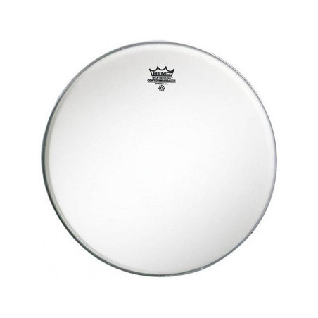 REMO AMBASSADOR OPACA 13