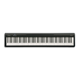 Roland FP10 Black
