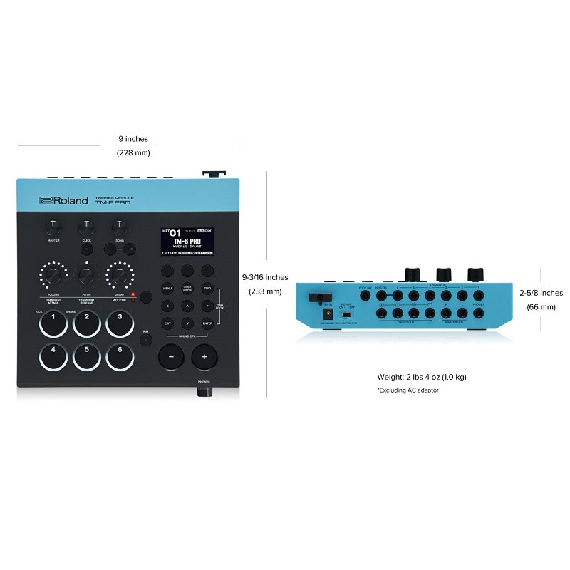 ROLAND TM6PRO