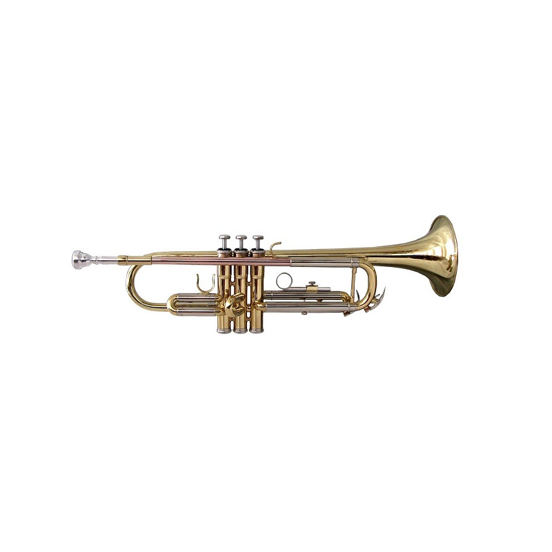 STPGD-10 Tromba Sib finitura laccata
