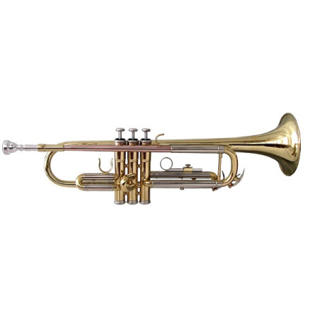 STPGD-10 Tromba Sib finitura laccata