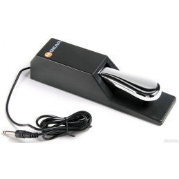 SUSTAIN PEDAL SP-2
