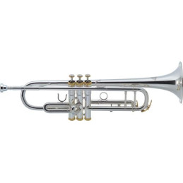 TR500S TROMBA IN SIb ARGENTATA