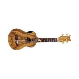UKULELE LIZARD-CC-GBCONCERT ELE, PALDAO, SATIN