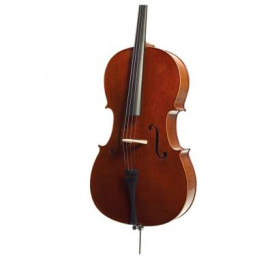 VC 4/4 CONSERVATOIRE CON CUSTODIA RIGIDA ED ARCO