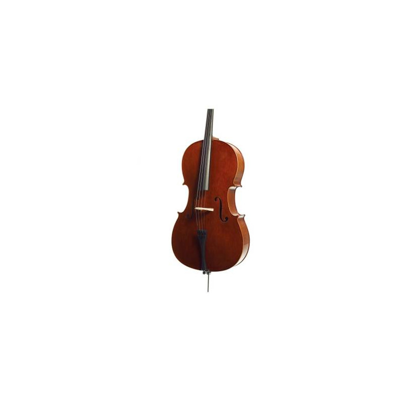 VC 4/4 CONSERVATOIRE CON CUSTODIA RIGIDA ED ARCO
