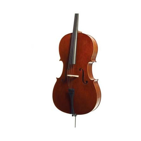 VC 4/4 CONSERVATOIRE CON CUSTODIA RIGIDA ED ARCO