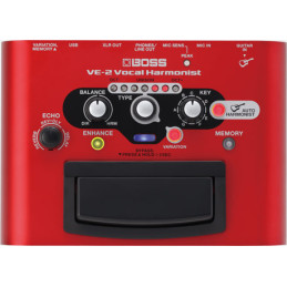 VE-2 Vocal Performer