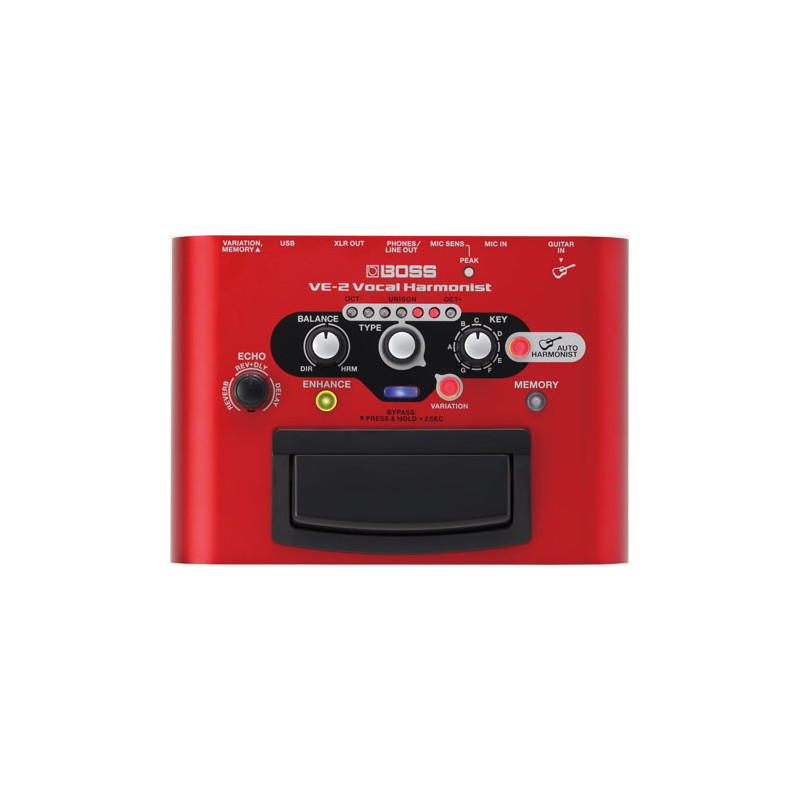 VE-2 Vocal Performer
