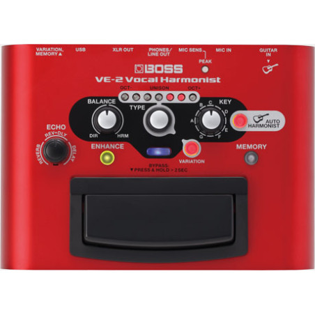 VE-2 Vocal Performer
