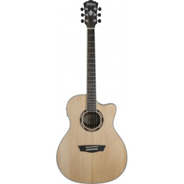 WASHBURN AG20CE