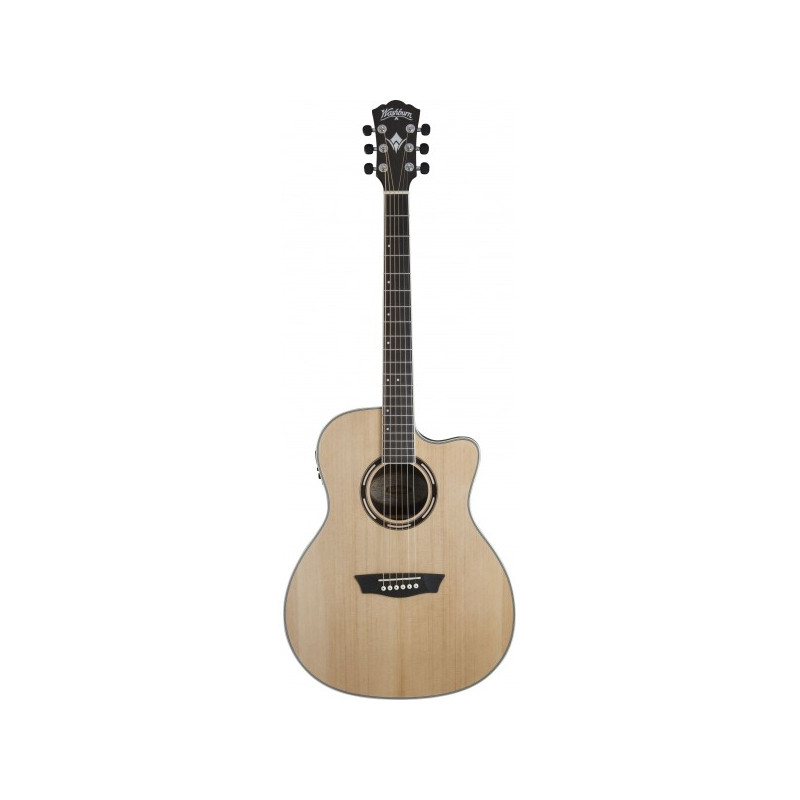 WASHBURN AG20CE
