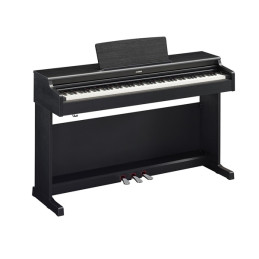 YDP105 Black