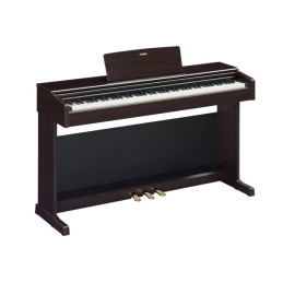 YDP145 Palissandro