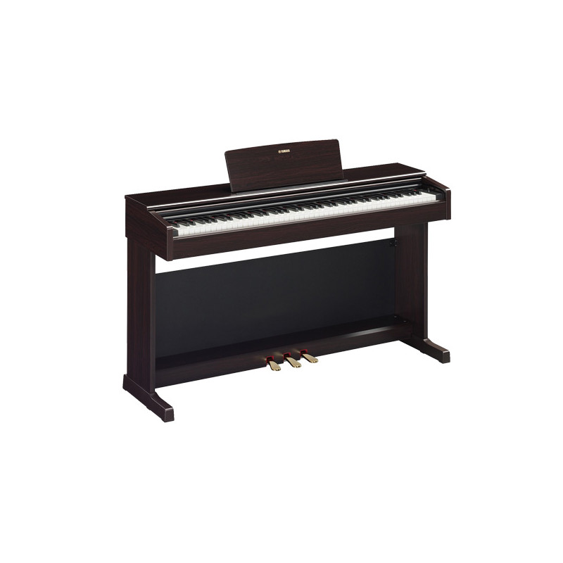 YDP145 Palissandro