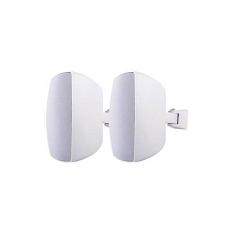 BS 650W-Coppia Diffusori 120W