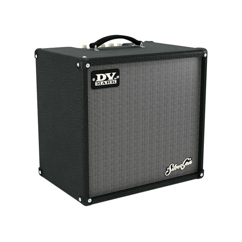 DVC GUITAR FRIEND 12 | Disalvatoremusicstore.it