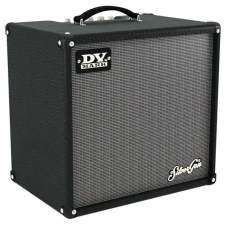 DVC GUITAR FRIEND 12 | Disalvatoremusicstore.it
