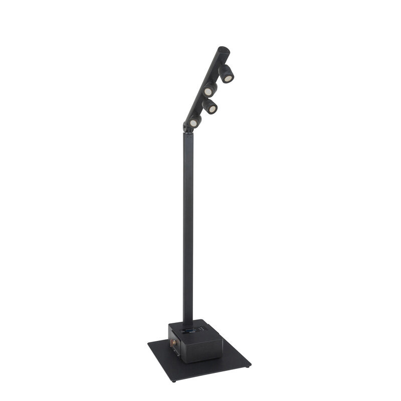 BRITEQ BTI-AKKUPOLE BLACK