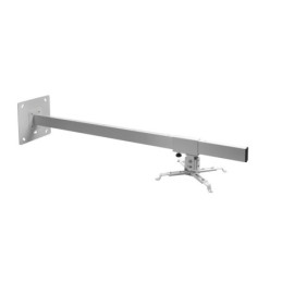 CELEXON 1090383