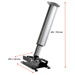 CELEXON 1090841