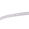 CONTEST LONGTAPE120NW - Ruban LEDs Natural 4000K 24V 8,5W/