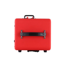 MUSICCUBE M3 - Red