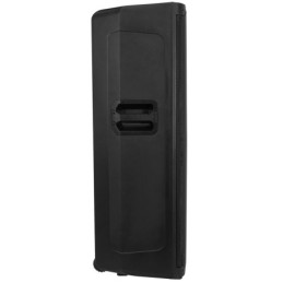 BOOMTONE DJ BS215A LED
