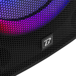 BOOMTONE DJ BS215A LED
