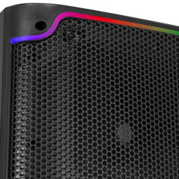 BOOMTONE DJ BS215A LED