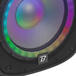 BOOMTONE DJ PS212A LED Set